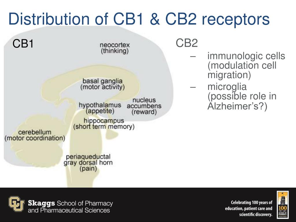 PPT - What is known about the clinical pharmacology of medical cannabis ...