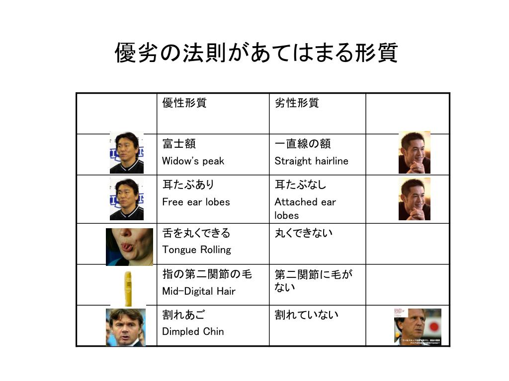 Ppt メンデルの法則 本日のメニュー Powerpoint Presentation Id