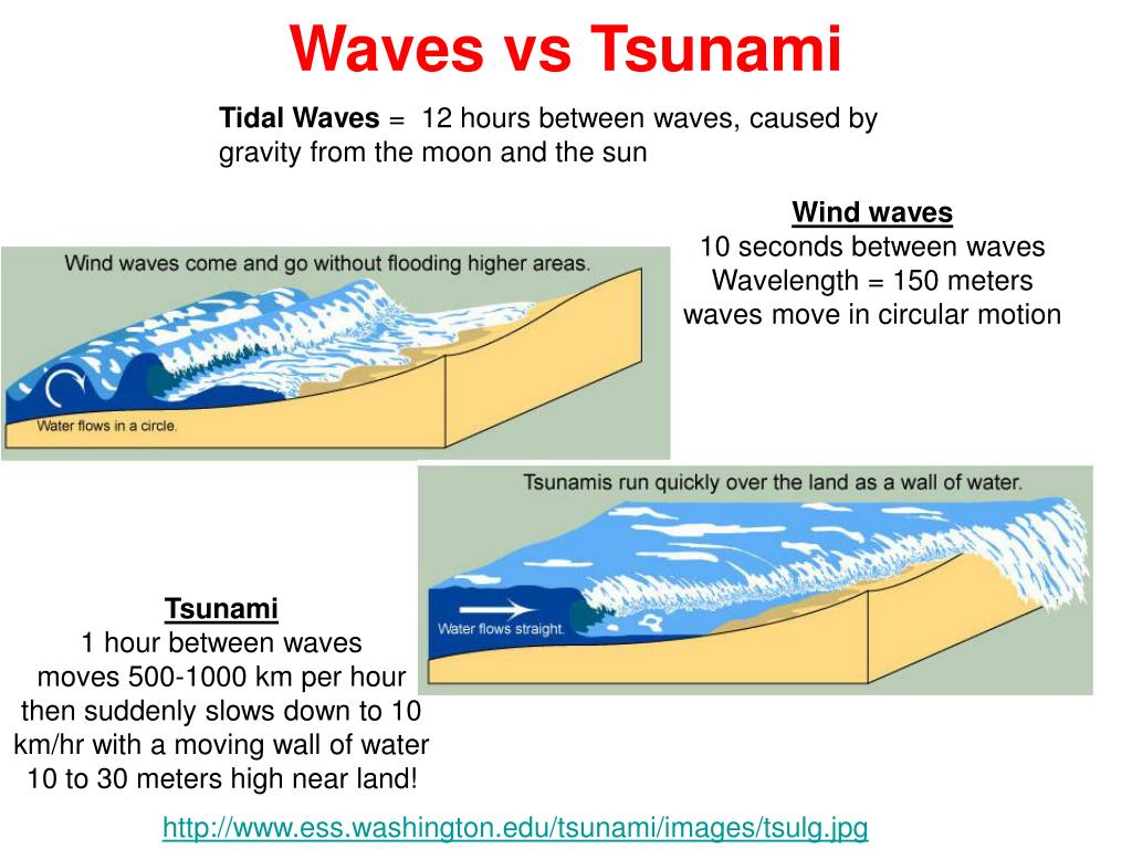 tidal wave vs tsunami vs typhoon tidal wave vs tsunami vs typhoon