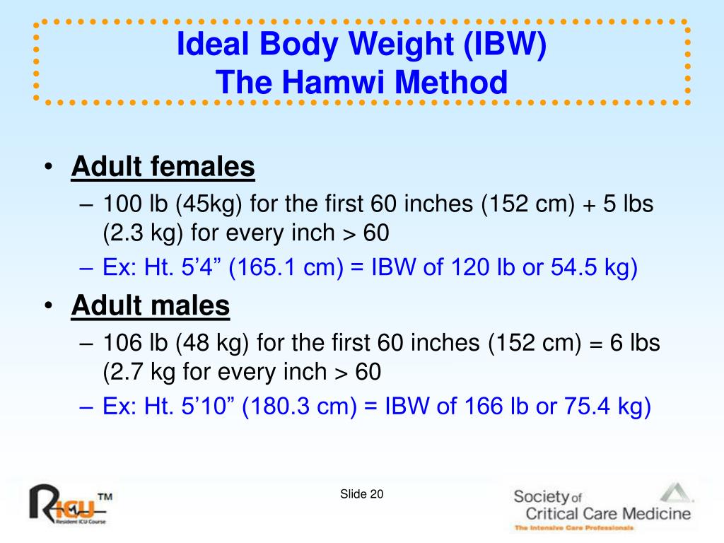 PPT Program Information PowerPoint Presentation Free Download ID 