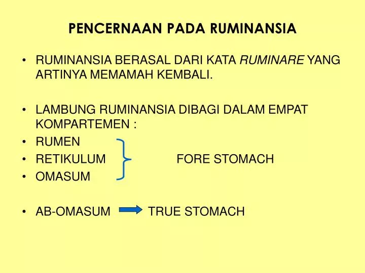 Ppt Pencernaan Pada Ruminansia Powerpoint Presentation Free