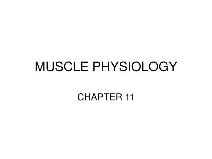 muscle physiology n.