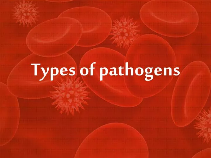 Four Types Of Pathogens