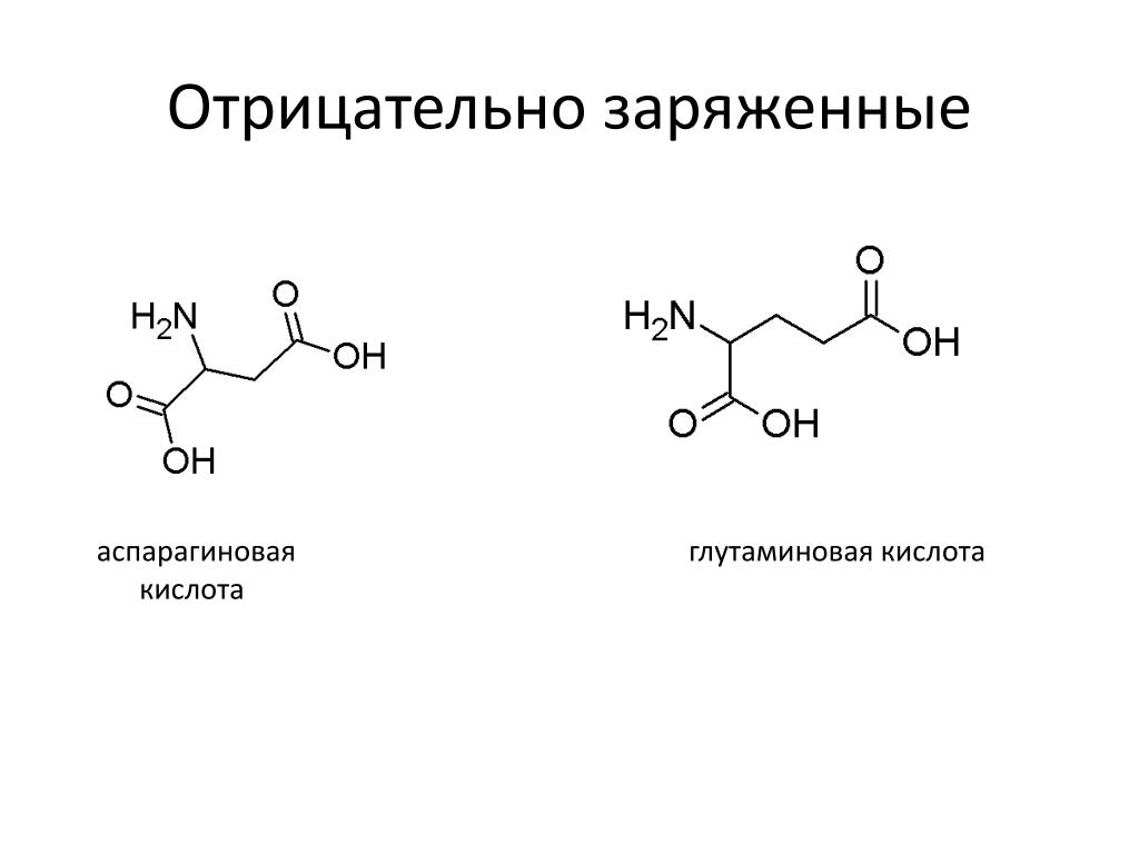Кольцевая кислота. Аспарагиновая аминовая кислота. Аспарагиновая кислота формула. Аспарагиновая кислота и глутаминовая кислота. Аспарагин кислота формула.