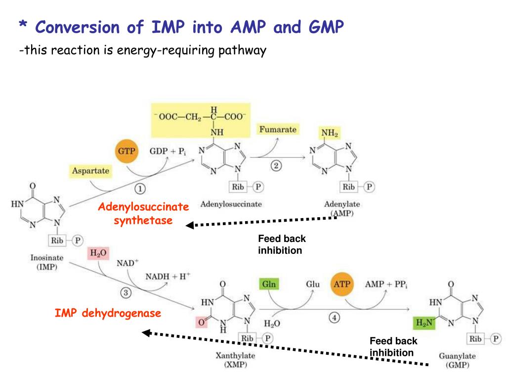slide22-l.jpg