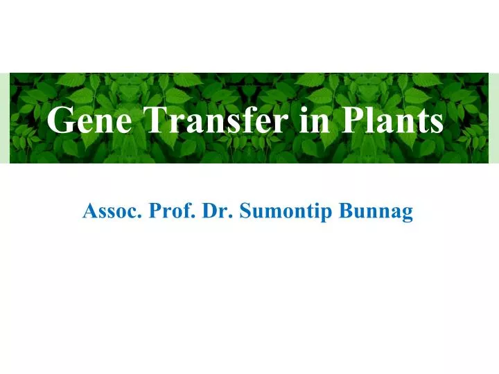 gene transfer in plants n.