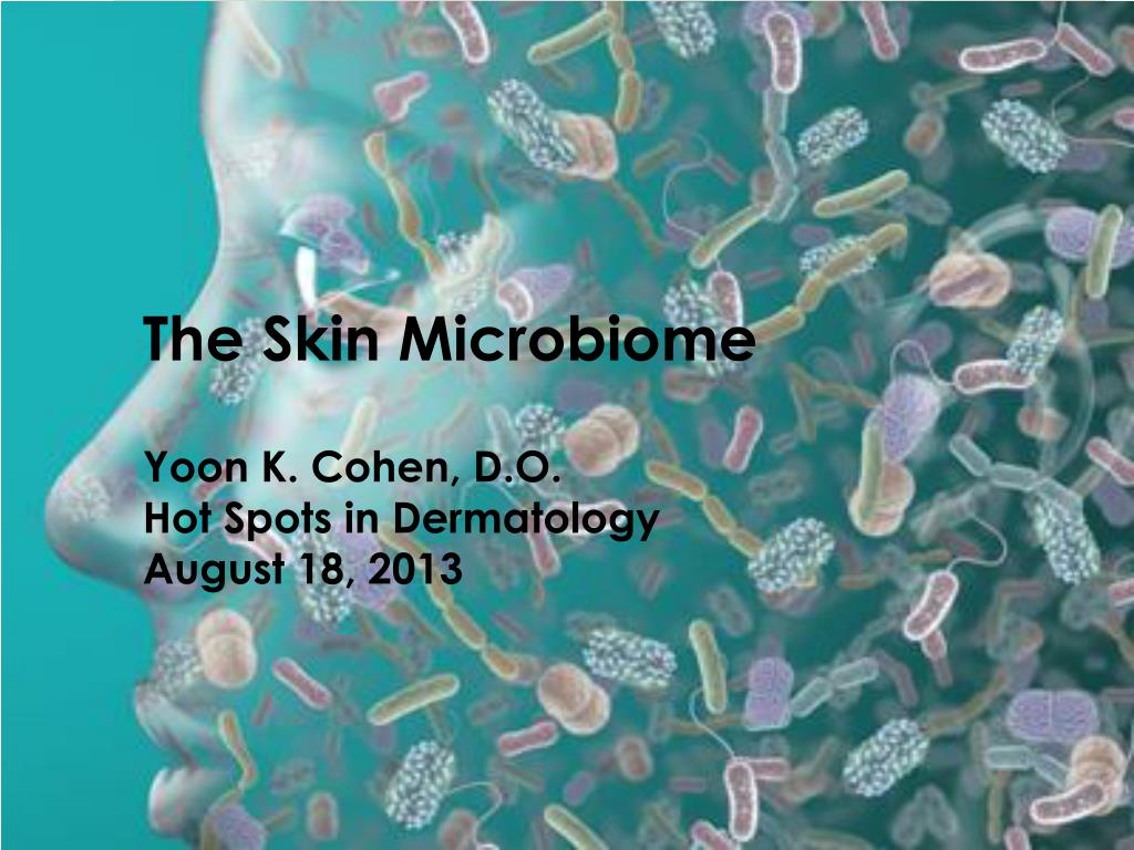 Бактерии хозяева. Микроорганизмы на коже человека. Грибы в организме человека.