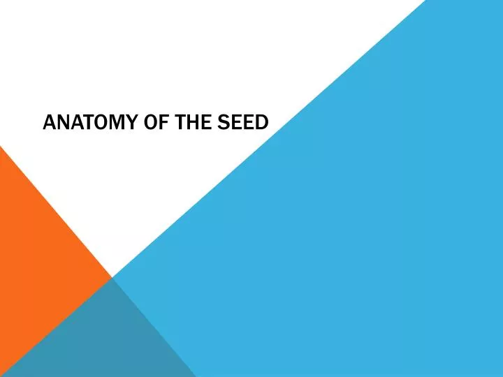 PPT - Anatomy of the Seed PowerPoint Presentation, free download - ID