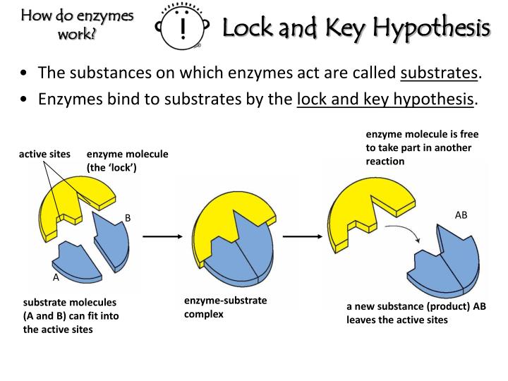 key lock of hypothesis