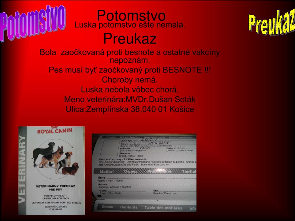 potomstvo-l.jpg