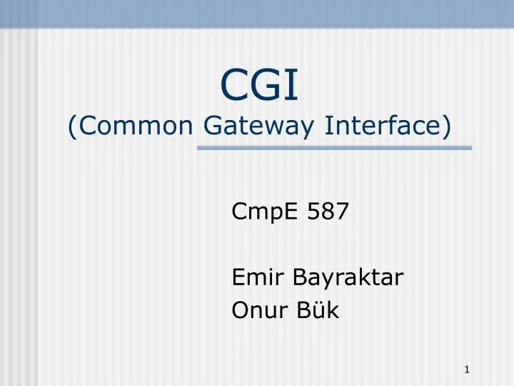 cgi common gateway interface n.