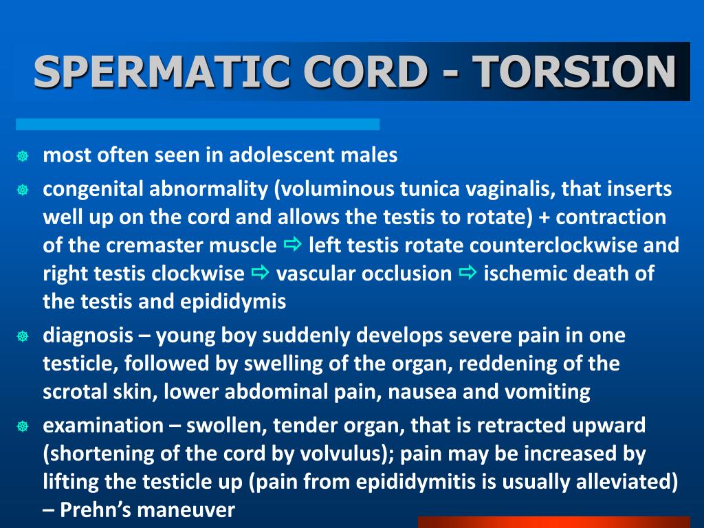 cremaster muscle injury cremaster muscle injury