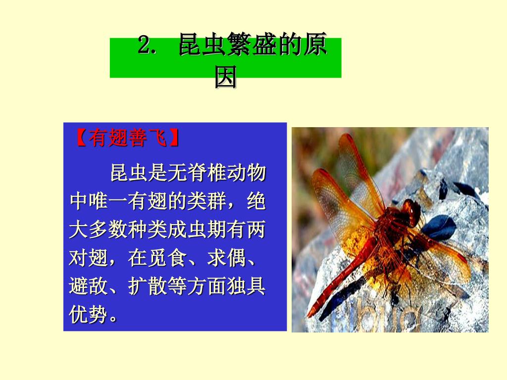 Ppt 第一章绪论powerpoint Presentation Free Download Id