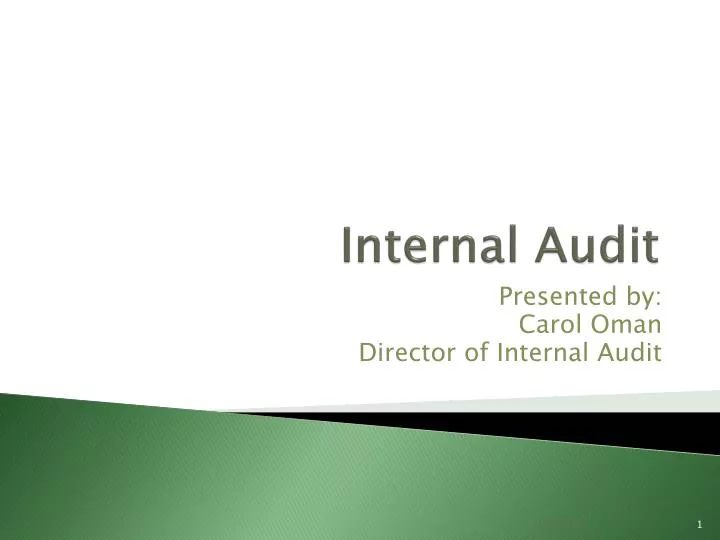 internal audit n.