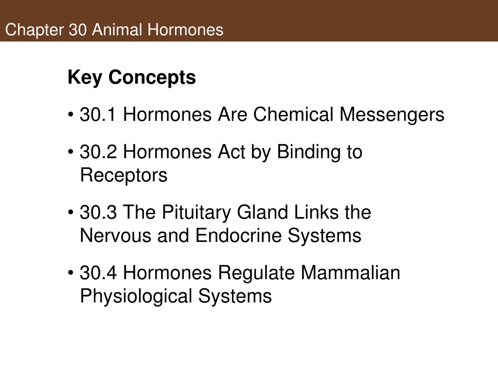 PPT - Animal Hormones PowerPoint Presentation, free download - ID:4752908