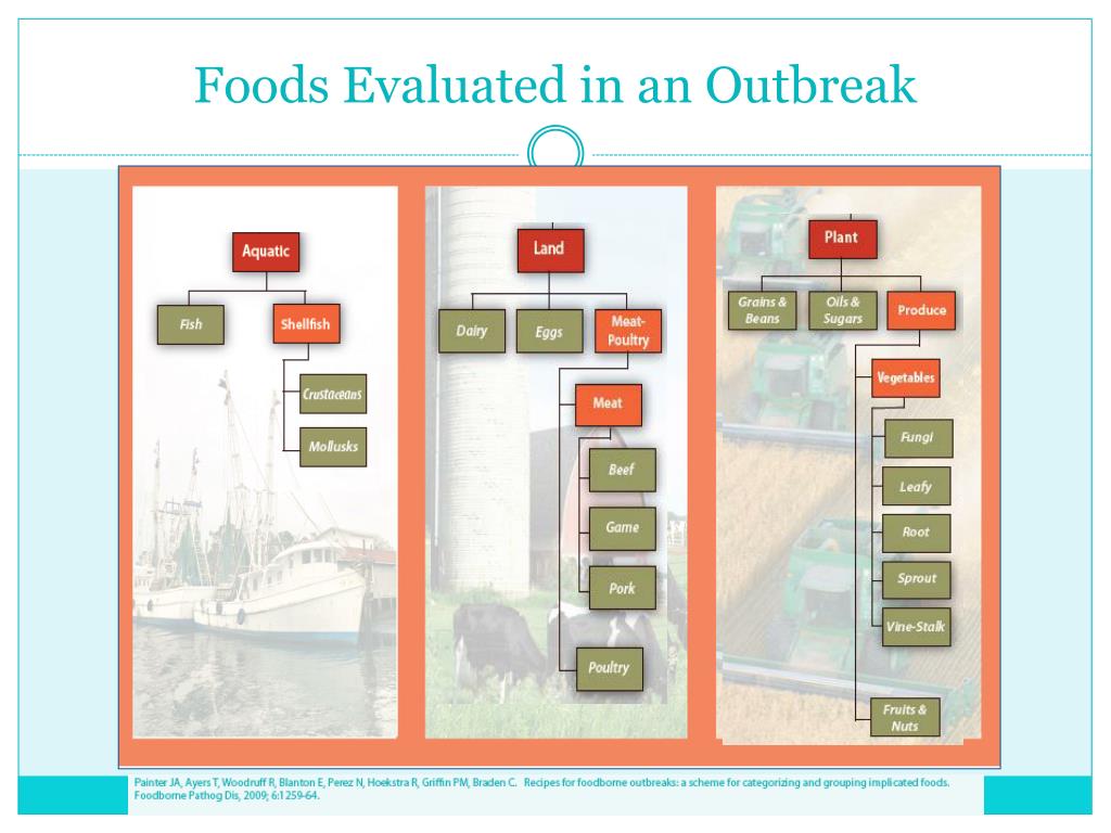 PPT - Introduction to Foodborne Illness and Food Safety PowerPoint
