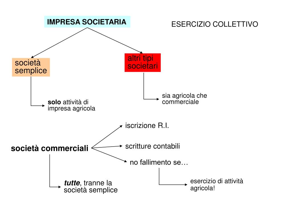 PPT - STATUTO DELL‘IMPRENDITORE COMMERCIALE PowerPoint Presentation ...