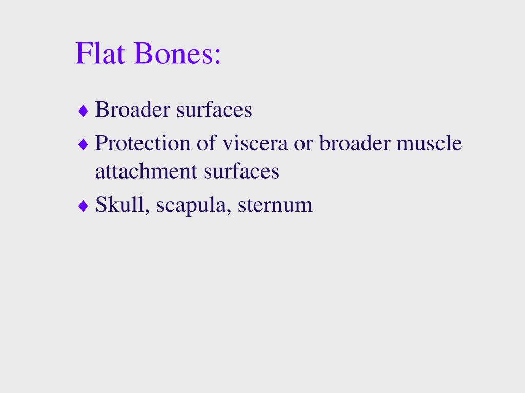 PPT - Musculoskeletal System PowerPoint Presentation, free download