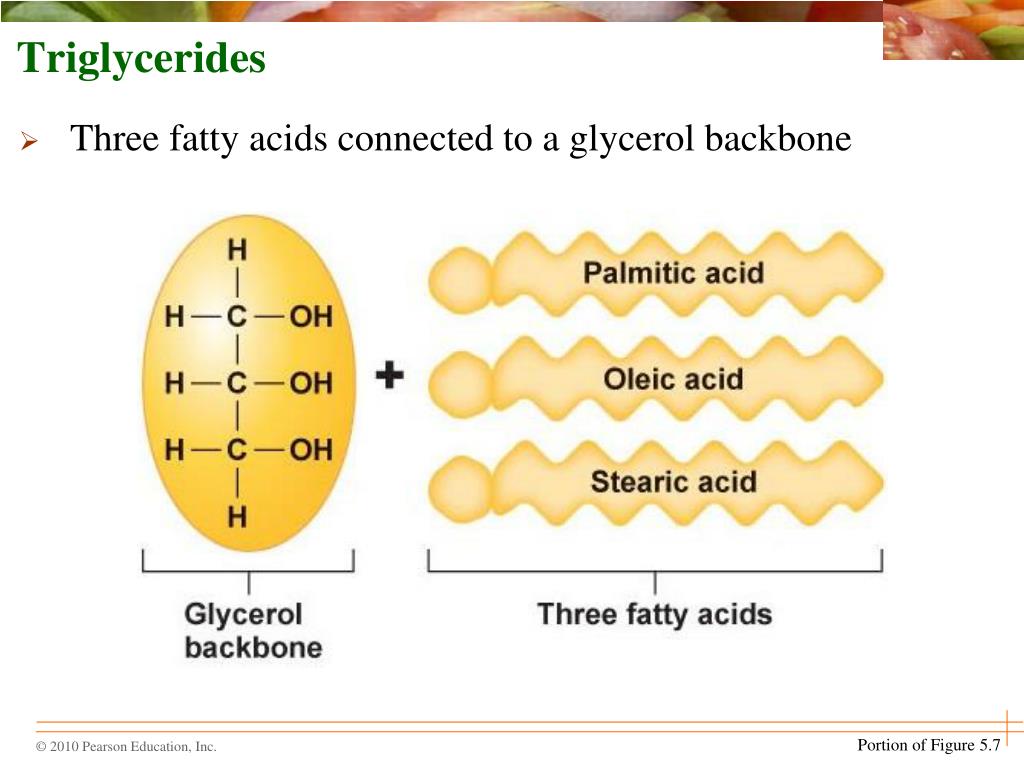 Ppt Chapter 5 Fats Oils And Other Lipids Powerpoint Presentation