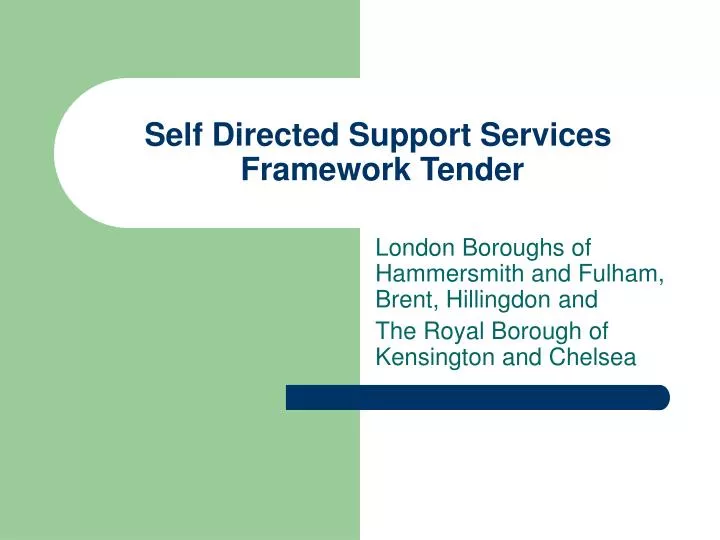 self directed support services framework tender n.