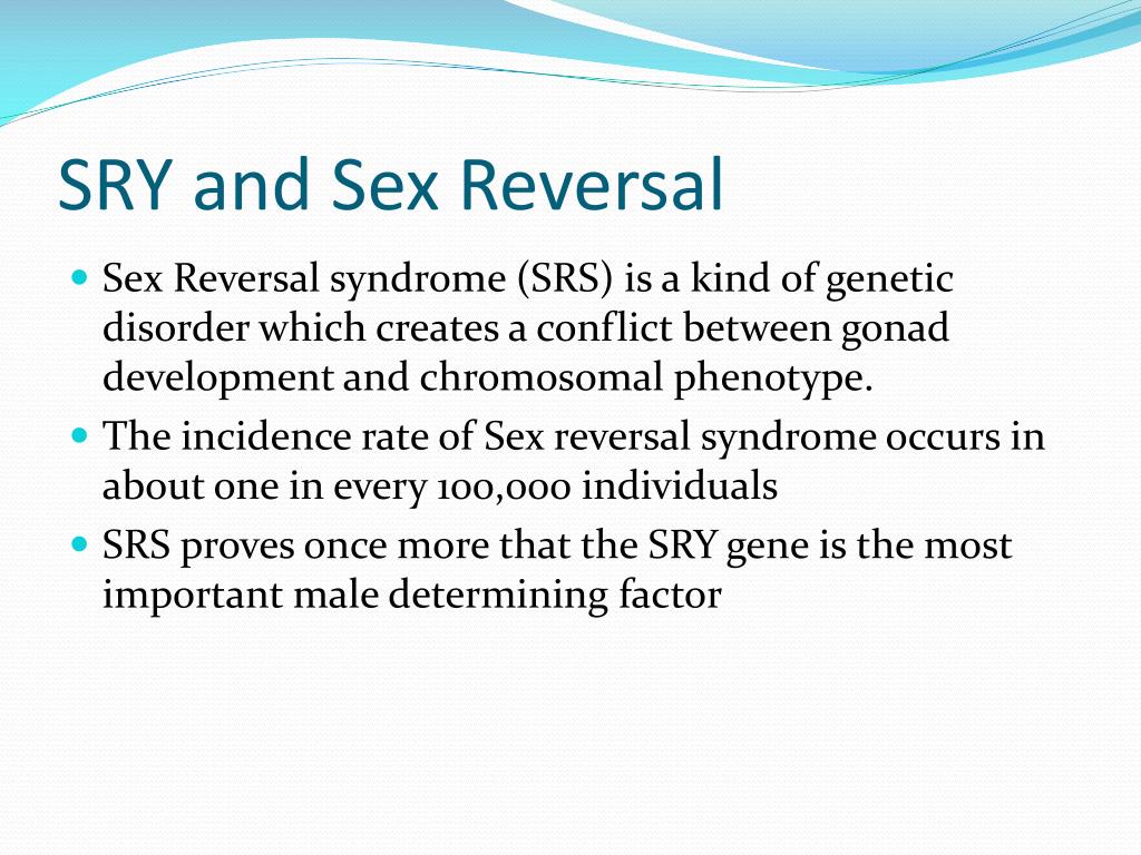 Ppt The Role Of The Sry Gene In Determing Sex Powerpoint Presentation Id 4761168
