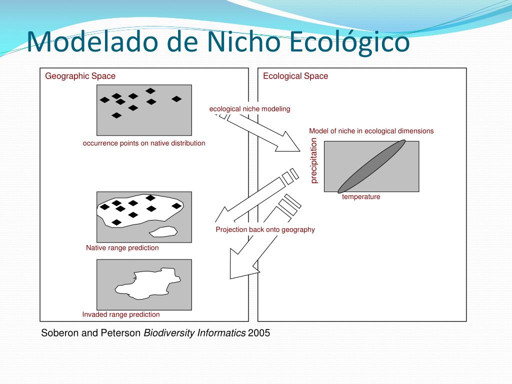 PPT - Apuntes sobre Modelación de Nicho Ecológico PowerPoint