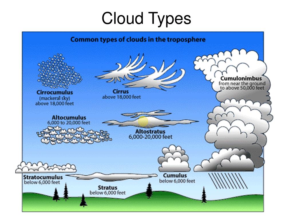 PPT - Relative Humidity PowerPoint Presentation, free download - ID:4761492