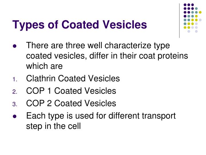 PPT Intracellular Vesicular Transport PowerPoint Presentation ID