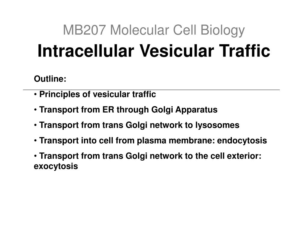 Biologie Moléculaire De La Cellule Alberts Pdf Download