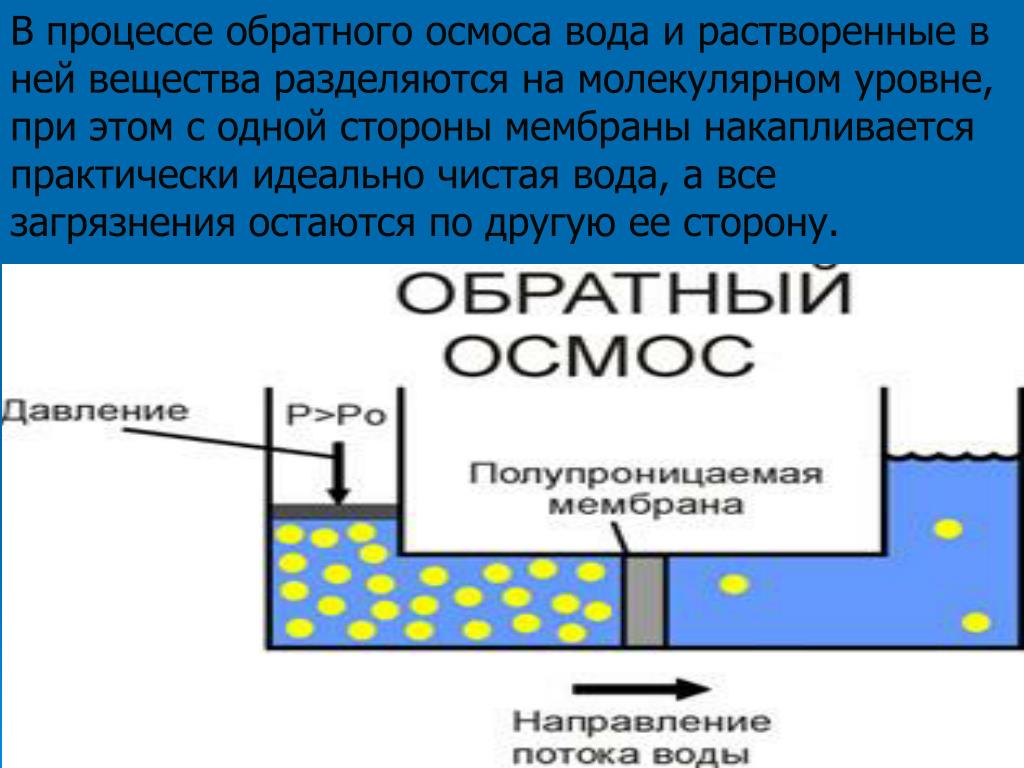 Вода в составе мембран. Осмос схема процесса. Осмос и обратный осмос схема процесса. Осмос воды через мембрану. Процесс обратного осмоса воды.