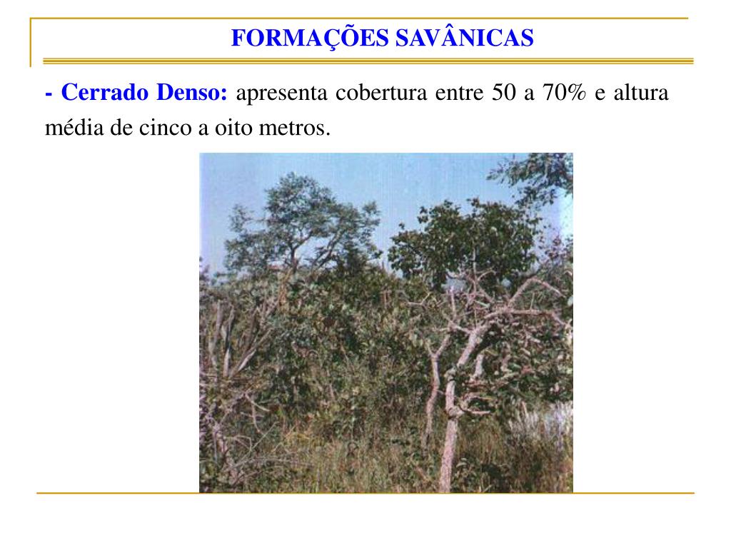 Conjunto de ecossistemas caracterizados por tipos fisionômicos vegetais  comuns. - PDF Free Download