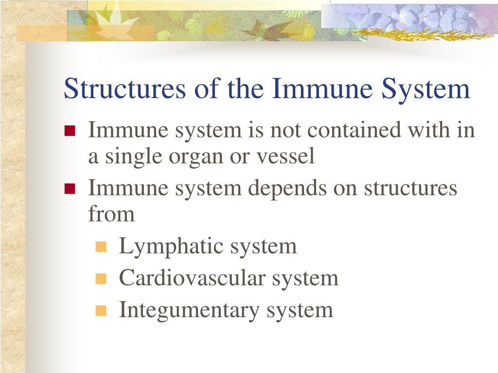 Ppt Blood Lymphatic System And Immune System Powerpoint Presentation