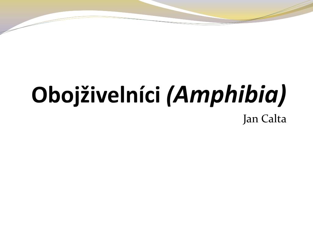 PPT - Obojživelníci ( Amphibia ) PowerPoint Presentation, free download -  ID:4763845