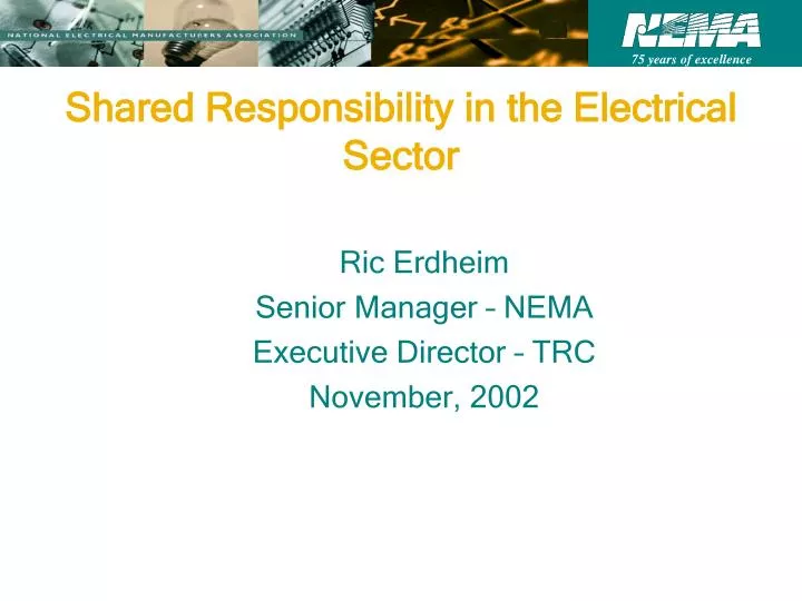 shared responsibility in the electrical sector n.