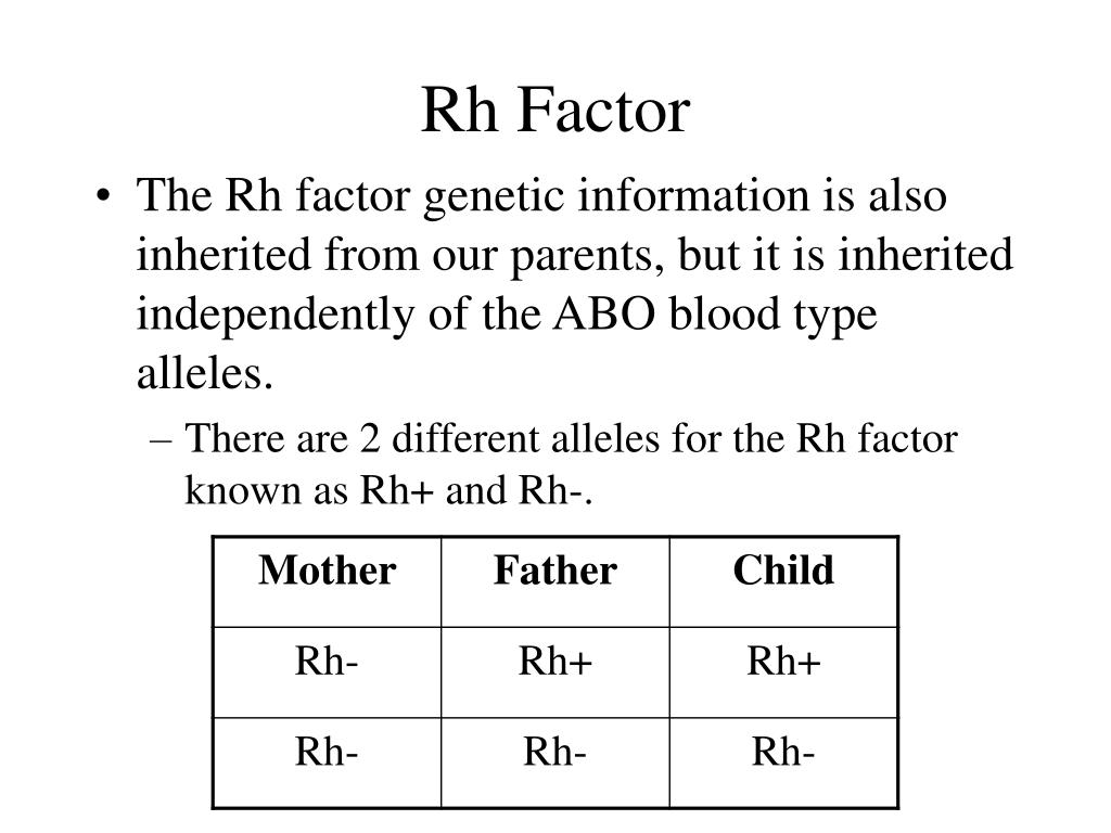 29+ Blood Type Genotypes Rh Images