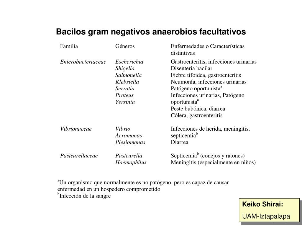 PPT - Bacilos gram negativos anaerobios facultativos PowerPoint  Presentation - ID:4766505