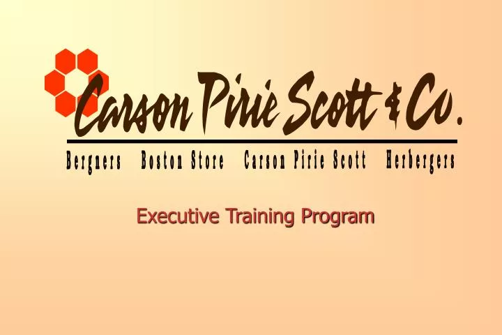 ppt-executive-training-program-powerpoint-presentation-free-download