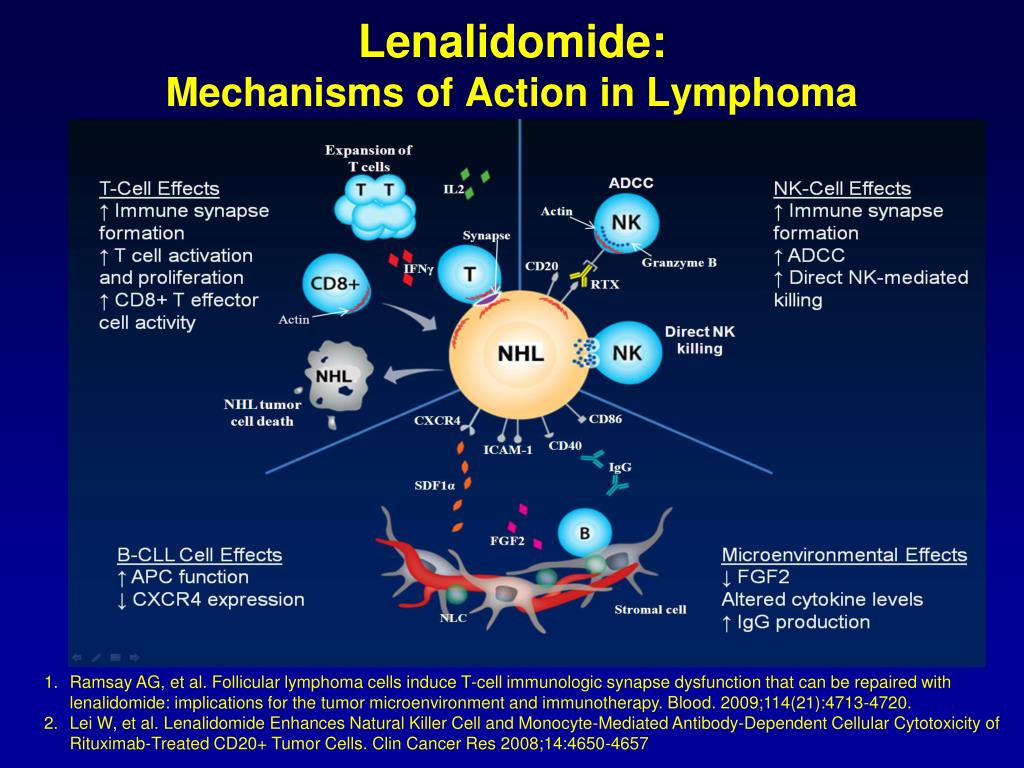 Cell effect. Леналидомид механизм действия. Леналидомид схемы. Леналидомид схемы химиотерапии. Леналидомид структура.