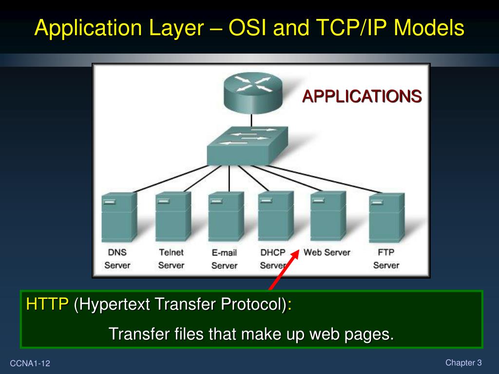 Домен dhcp. Application layer osi. DHCP модель osi. Telnet модель оси. Прикладной уровень модели osi.