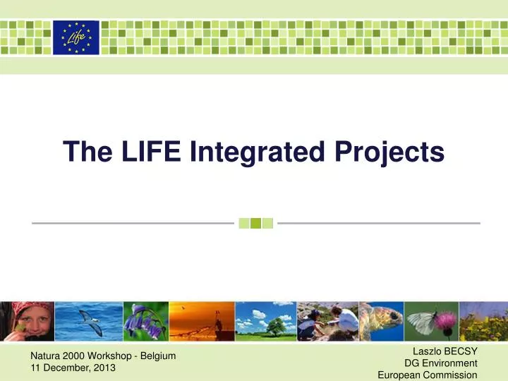 the life integrated projects n.