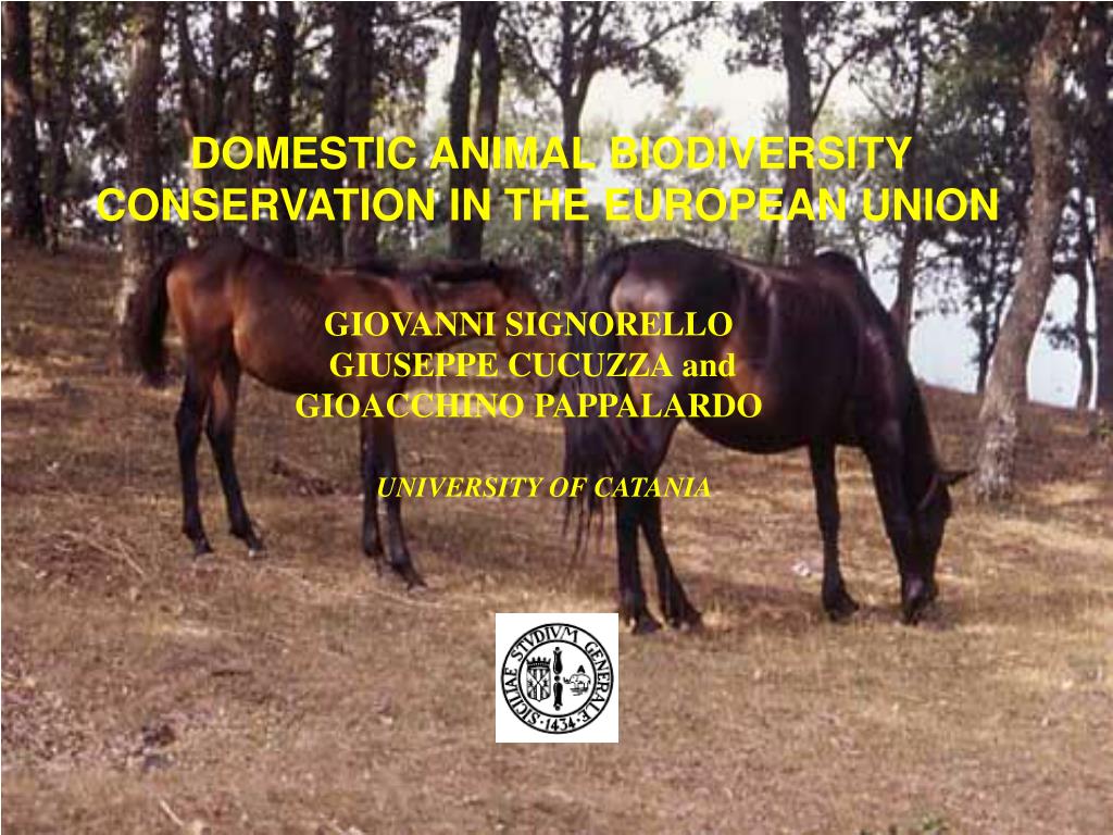 PPT - DOMESTIC ANIMAL BIODIVERSITY CONSERVATION IN THE EUROPEAN UNION  PowerPoint Presentation - ID:4769136