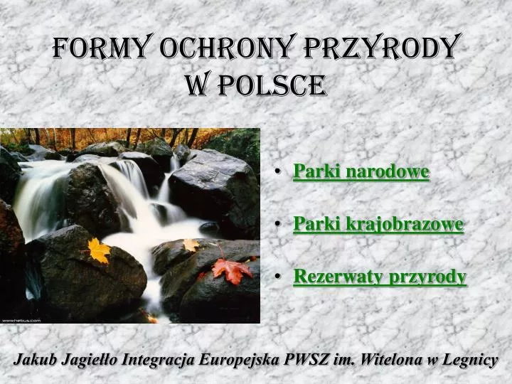 Jedna Z Form Ochrony Przyrody PPT - FORMY OCHRONY PRZYRODY W POLSCE PowerPoint Presentation, free