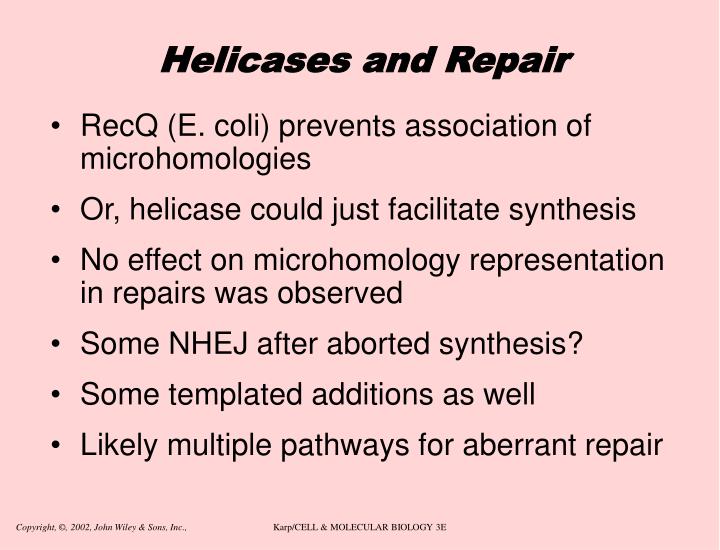 abortion synthesis abortion synthesis