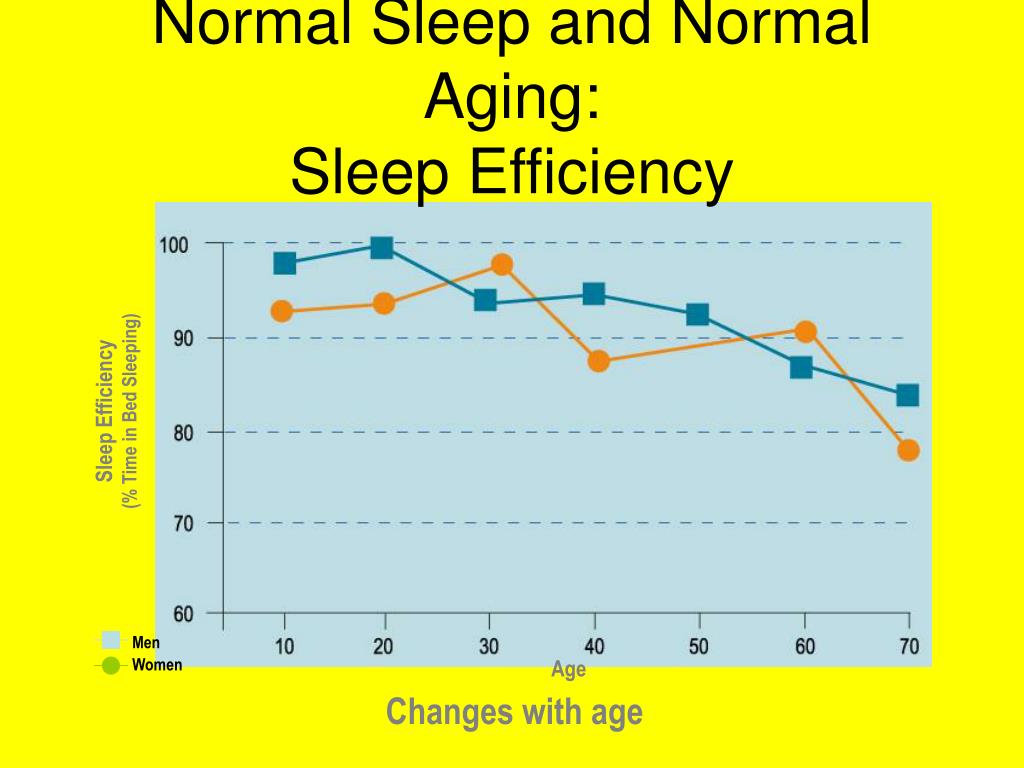 PPT - Sleep and Aging PowerPoint Presentation, free download - ID:4774377