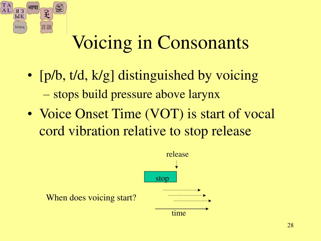 Voice stop. Unpredictability in Sounds ppt.