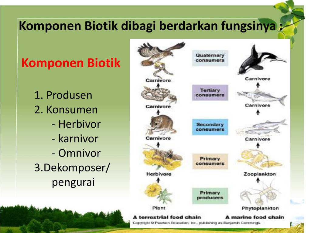 PPT - PENDAHULUAN PowerPoint Presentation, free download - ID:4779445