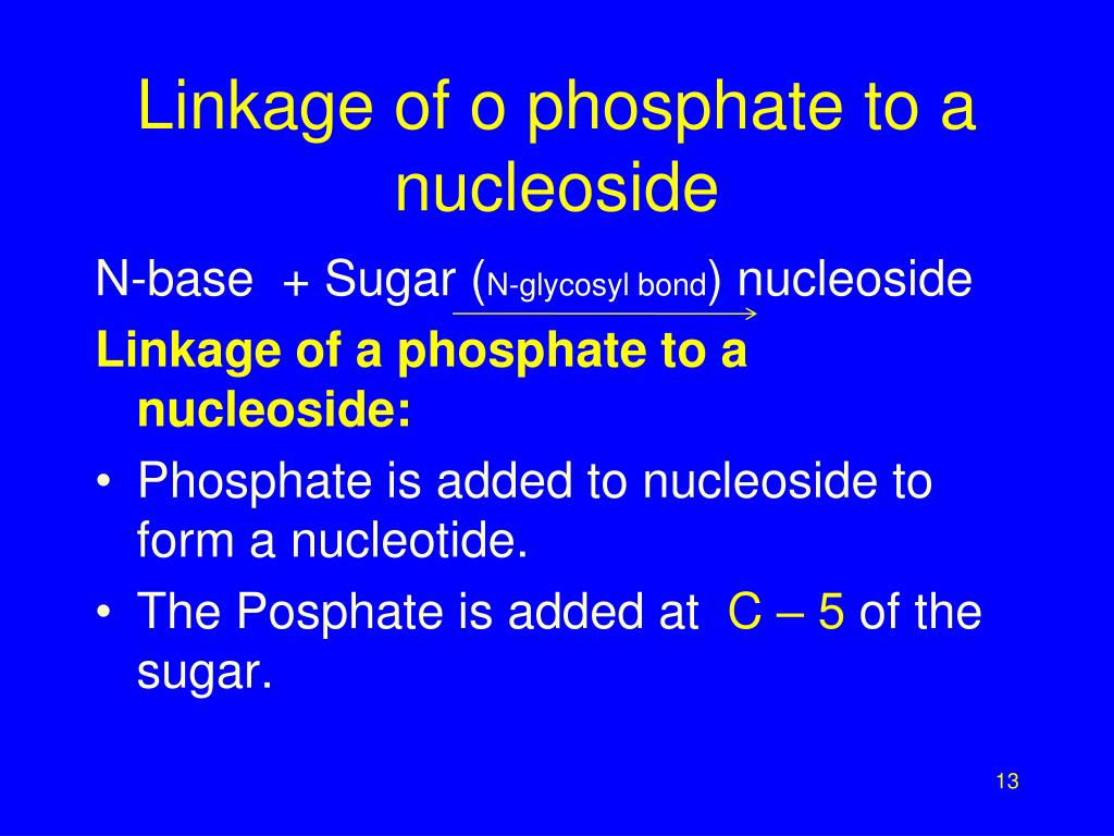 How To Form a Phosphate Anhydride Linkage in Nucleotide Derivatives -  Sherstyuk - 2015 - ChemBioChem - Wiley Online Library