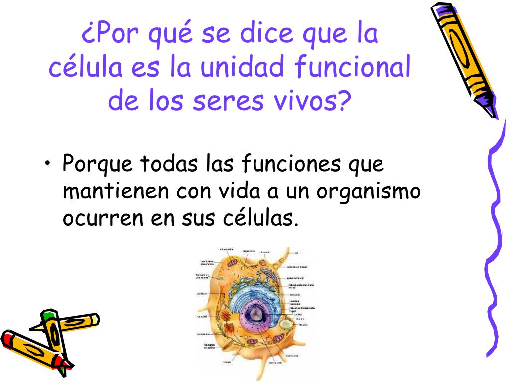 La Celula Como Unidad Estructural De Los Seres Vivos