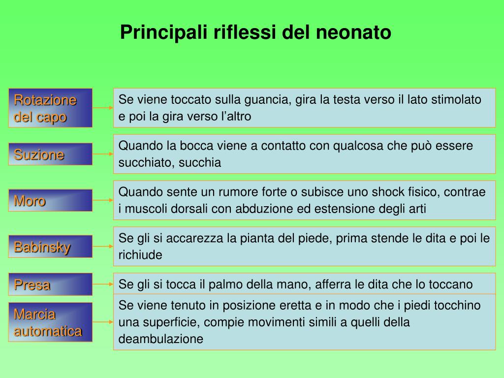 PPT - LO SVILUPPO FISICO E MOTORIO PowerPoint Presentation, free download -  ID:4780691