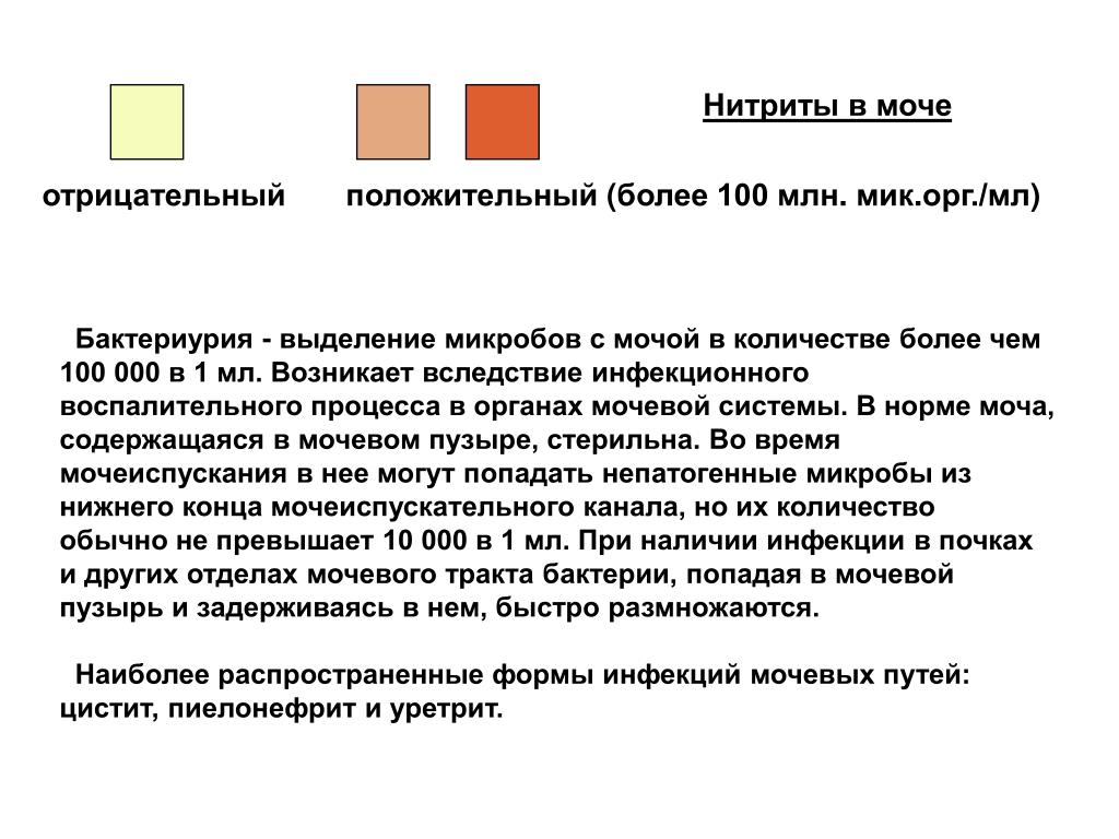 О чем говорят нитриты в моче. Нитриты в моче. Нитриты в моче у женщин. Нитриты в моче у женщин причины. Бактерии в моче нитриты что это.